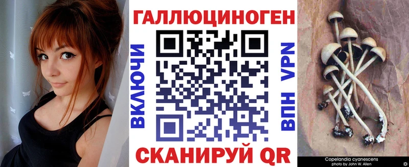 Псилоцибиновые грибы MAGIC MUSHROOMS  как найти закладки  Полтавская 